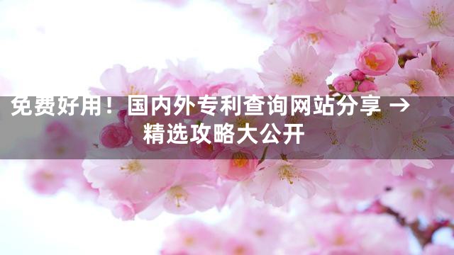 免费好用！国内外专利查询网站分享 →精选攻略大公开