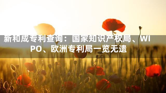 新和成专利查询：国家知识产权局、WIPO、欧洲专利局一览无遗
