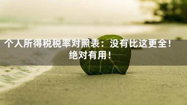 个人所得税税率对照表：没有比这更全！绝对有用！