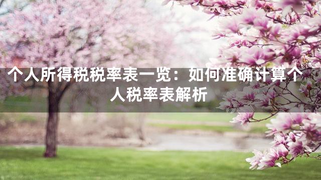 个人所得税税率表一览：如何准确计算个人税率表解析