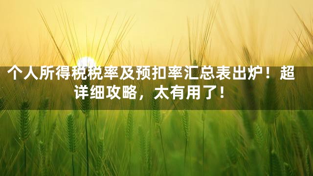 个人所得税税率及预扣率汇总表出炉！超详细攻略，太有用了！