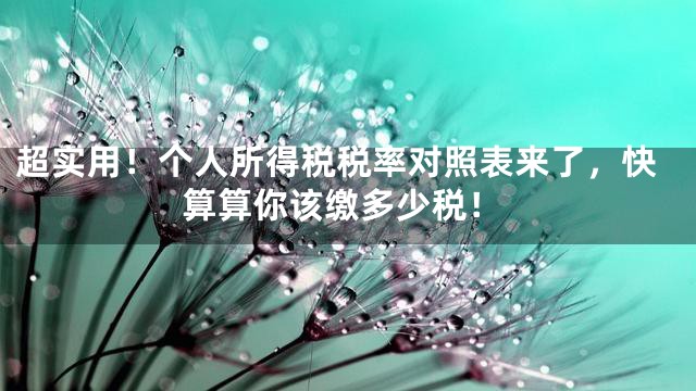 超实用！个人所得税税率对照表来了，快算算你该缴多少税！