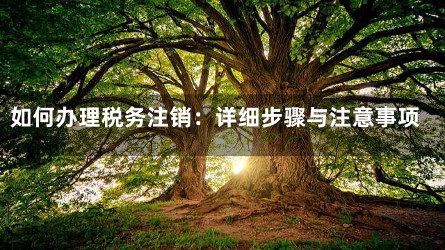 如何办理税务注销：详细步骤与注意事项
