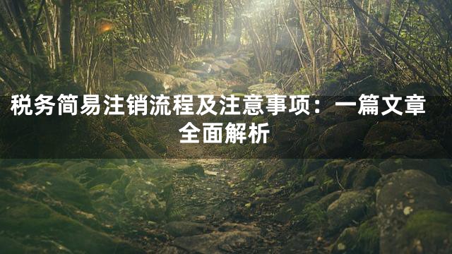 税务简易注销流程及注意事项：一篇文章全面解析