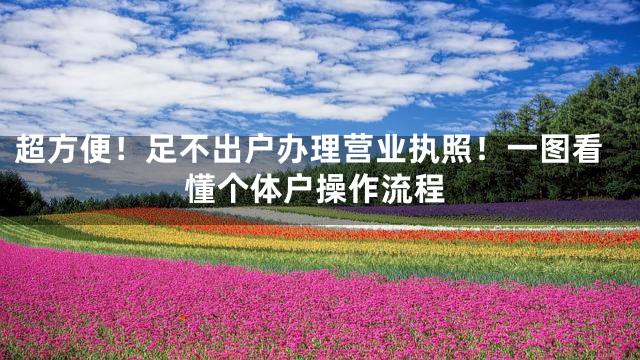 超方便！足不出户办理营业执照！一图看懂个体户操作流程