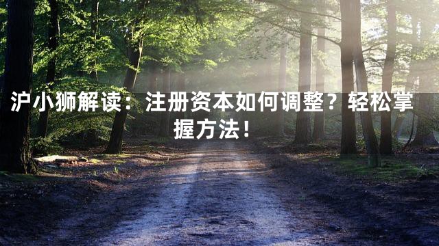 沪小狮解读：注册资本如何调整？轻松掌握方法！