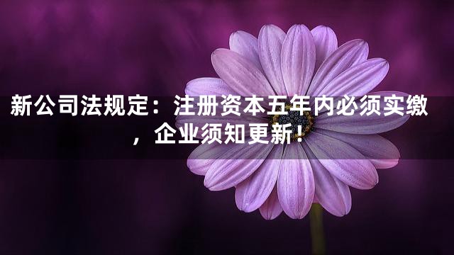 新公司法规定：注册资本五年内必须实缴，企业须知更新！