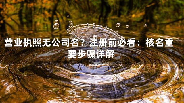营业执照无公司名？注册前必看：核名重要步骤详解