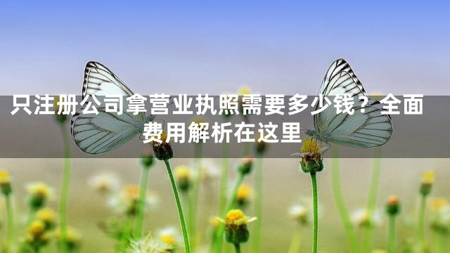只注册公司拿营业执照需要多少钱？全面费用解析在这里
