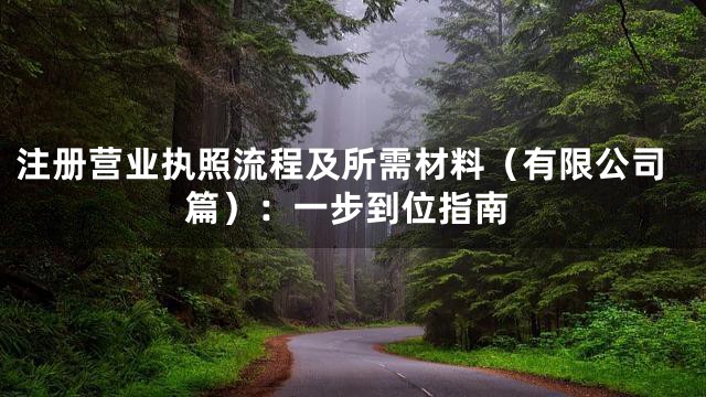 注册营业执照流程及所需材料（有限公司篇）：一步到位指南