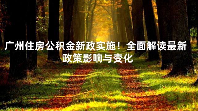 广州住房公积金新政实施！全面解读最新政策影响与变化
