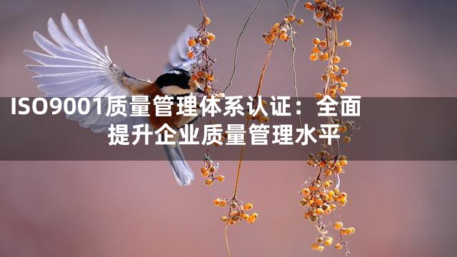 ISO9001质量管理体系认证：全面提升企业质量管理水平