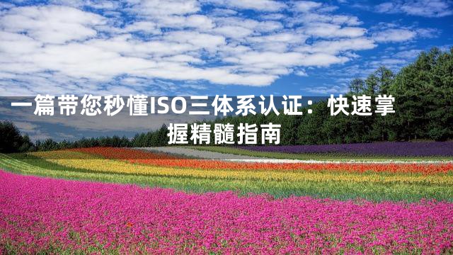 一篇带您秒懂ISO三体系认证：快速掌握精髓指南