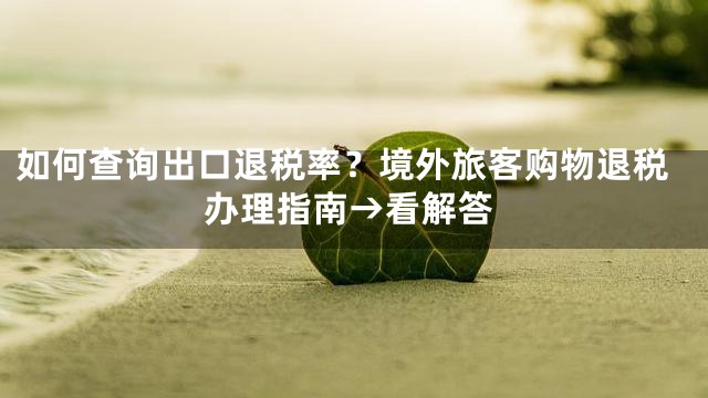 如何查询出口退税率？境外旅客购物退税办理指南→看解答