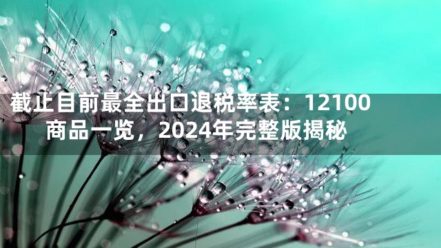 截止目前最全出口退税率表：12100商品一览，2024年完整版揭秘