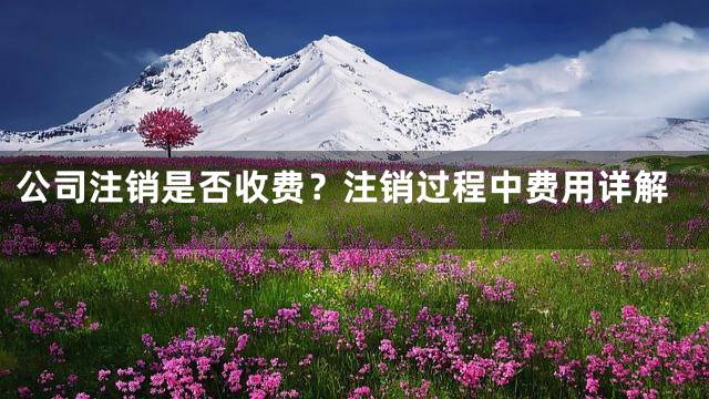 公司注销是否收费？注销过程中费用详解