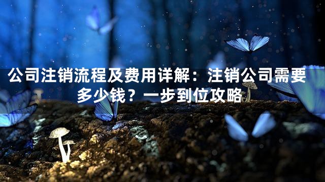 公司注销流程及费用详解：注销公司需要多少钱？一步到位攻略