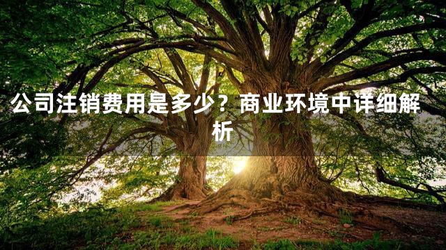 公司注销费用是多少？商业环境中详细解析