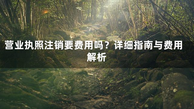 营业执照注销要费用吗？详细指南与费用解析