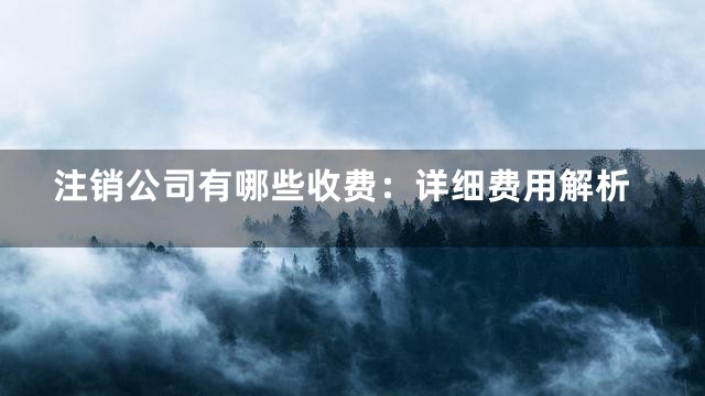 注销公司有哪些收费：详细费用解析