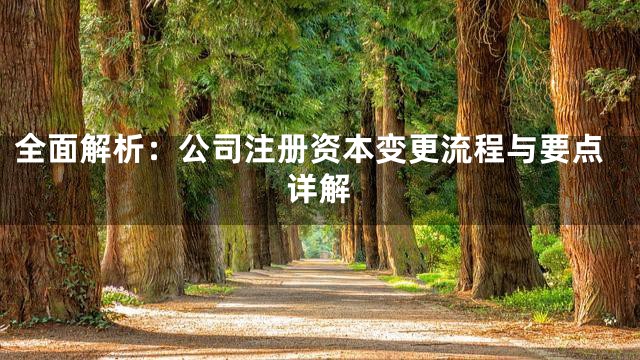 全面解析：公司注册资本变更流程与要点详解