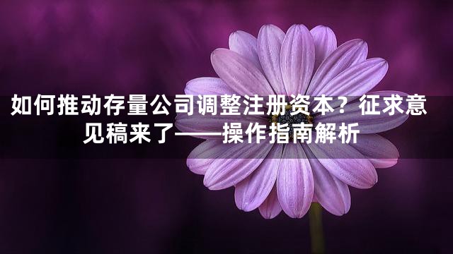 如何推动存量公司调整注册资本？征求意见稿来了——操作指南解析