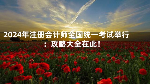 2024年注册会计师全国统一考试举行：攻略大全在此！