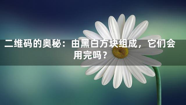 二维码的奥秘：由黑白方块组成，它们会用完吗？