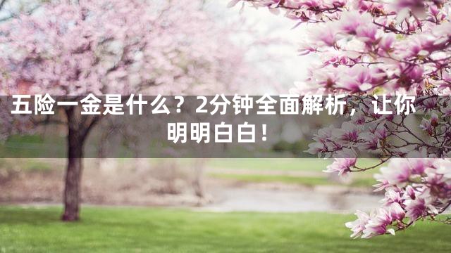 五险一金是什么？2分钟全面解析，让你明明白白！