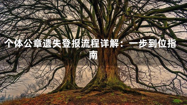 个体公章遗失登报流程详解：一步到位指南