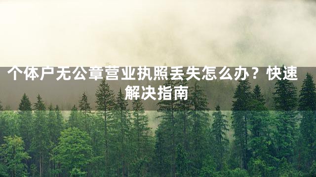 个体户无公章营业执照丢失怎么办？快速解决指南