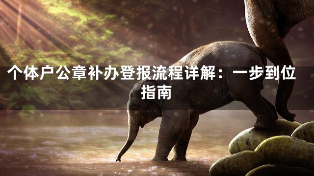个体户公章补办登报流程详解：一步到位指南