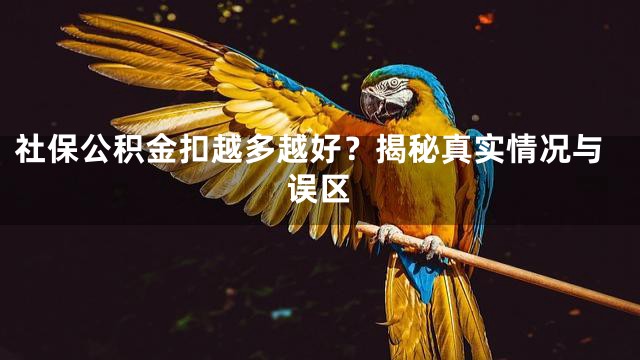 社保公积金扣越多越好？揭秘真实情况与误区