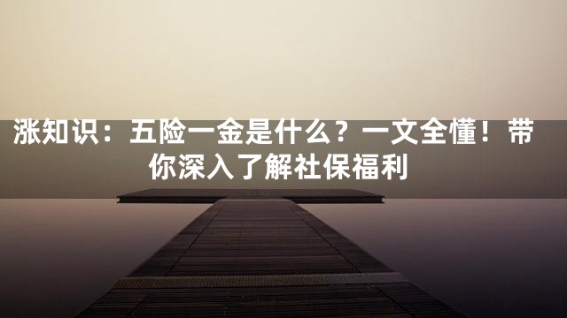涨知识：五险一金是什么？一文全懂！带你深入了解社保福利