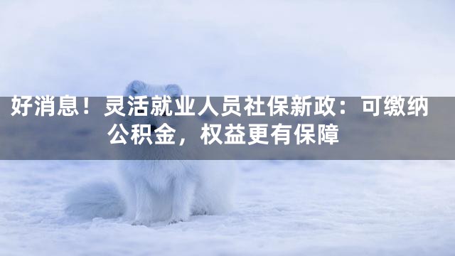 好消息！灵活就业人员社保新政：可缴纳公积金，权益更有保障