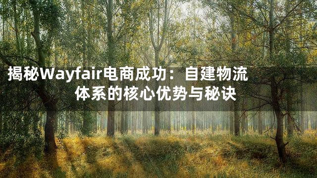 揭秘Wayfair电商成功：自建物流体系的核心优势与秘诀