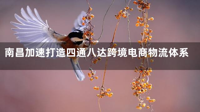 南昌加速打造四通八达跨境电商物流体系
