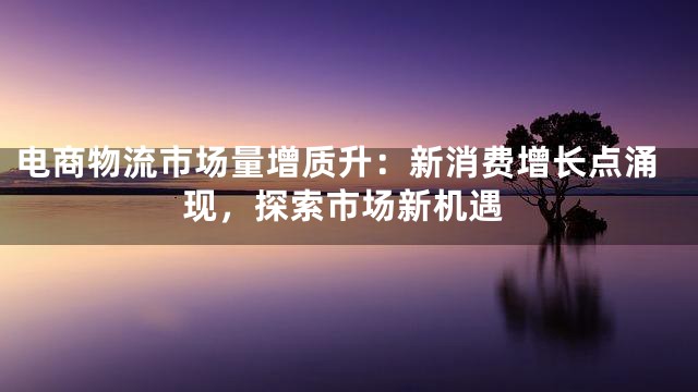 电商物流市场量增质升：新消费增长点涌现，探索市场新机遇