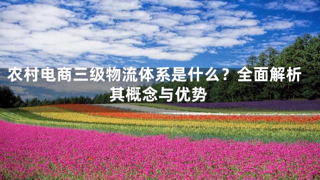 农村电商三级物流体系是什么？全面解析其概念与优势