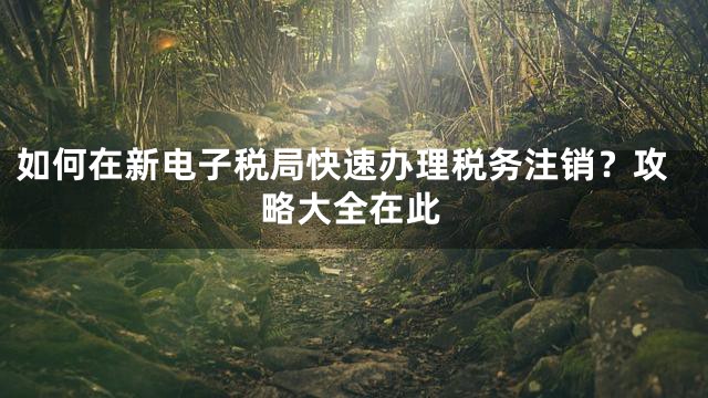 如何在新电子税局快速办理税务注销？攻略大全在此