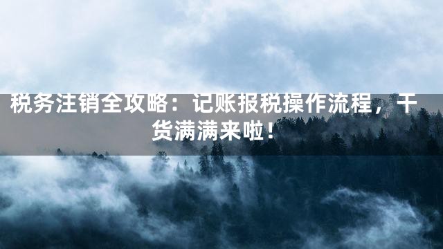 税务注销全攻略：记账报税操作流程，干货满满来啦！