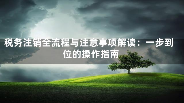 税务注销全流程与注意事项解读：一步到位的操作指南