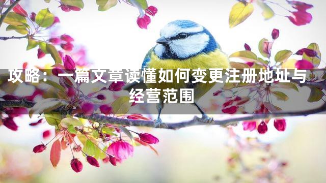 攻略：一篇文章读懂如何变更注册地址与经营范围
