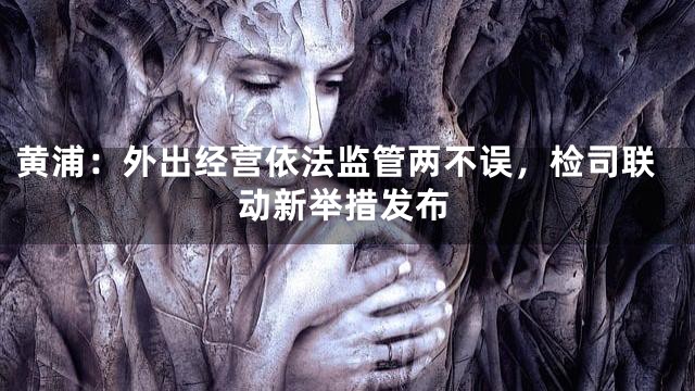 黄浦：外出经营依法监管两不误，检司联动新举措发布