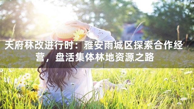 天府林改进行时：雅安雨城区探索合作经营，盘活集体林地资源之路