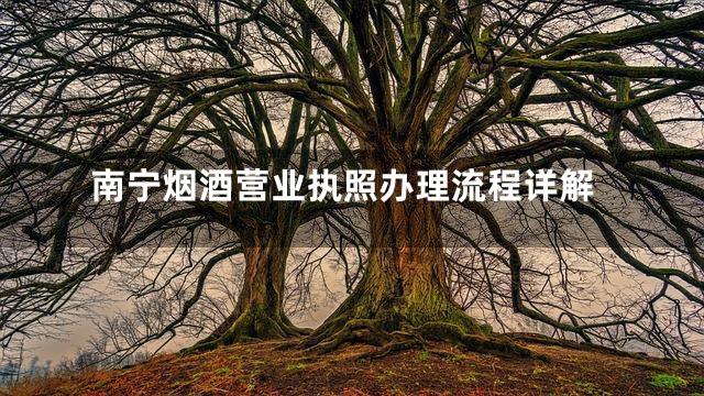南宁烟酒营业执照办理流程详解