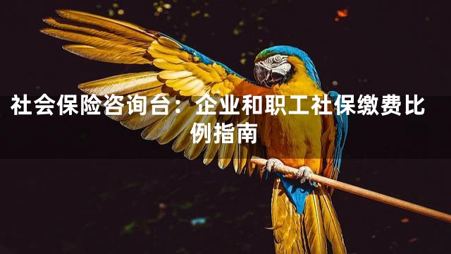 社会保险咨询台：企业和职工社保缴费比例指南