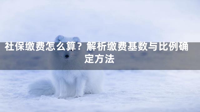 社保缴费怎么算？解析缴费基数与比例确定方法