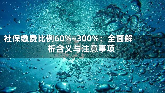 社保缴费比例60%~300%：全面解析含义与注意事项
