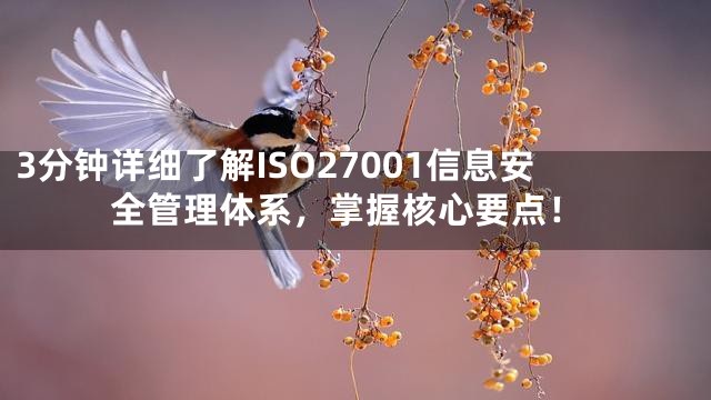 3分钟详细了解ISO27001信息安全管理体系，掌握核心要点！